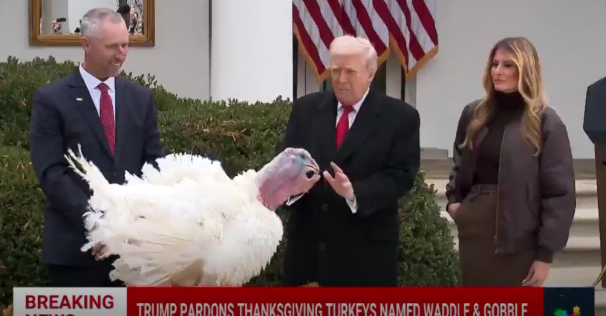 Turkey prices this thanksgivings are exploding due to virus