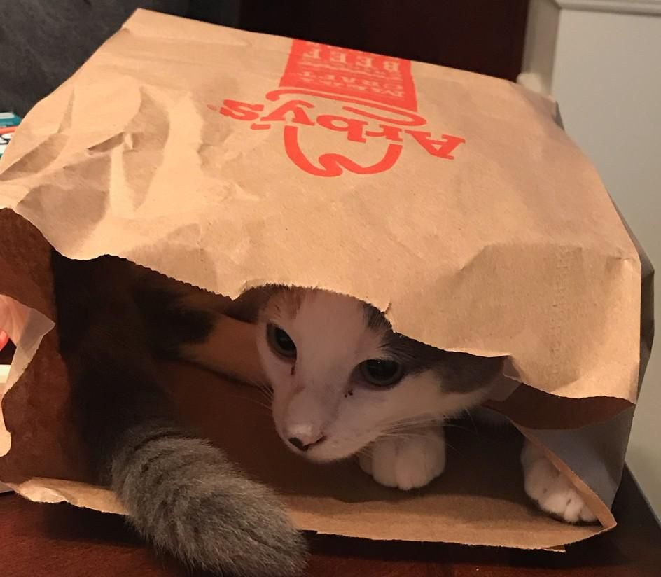 Arby's Popularity Rise